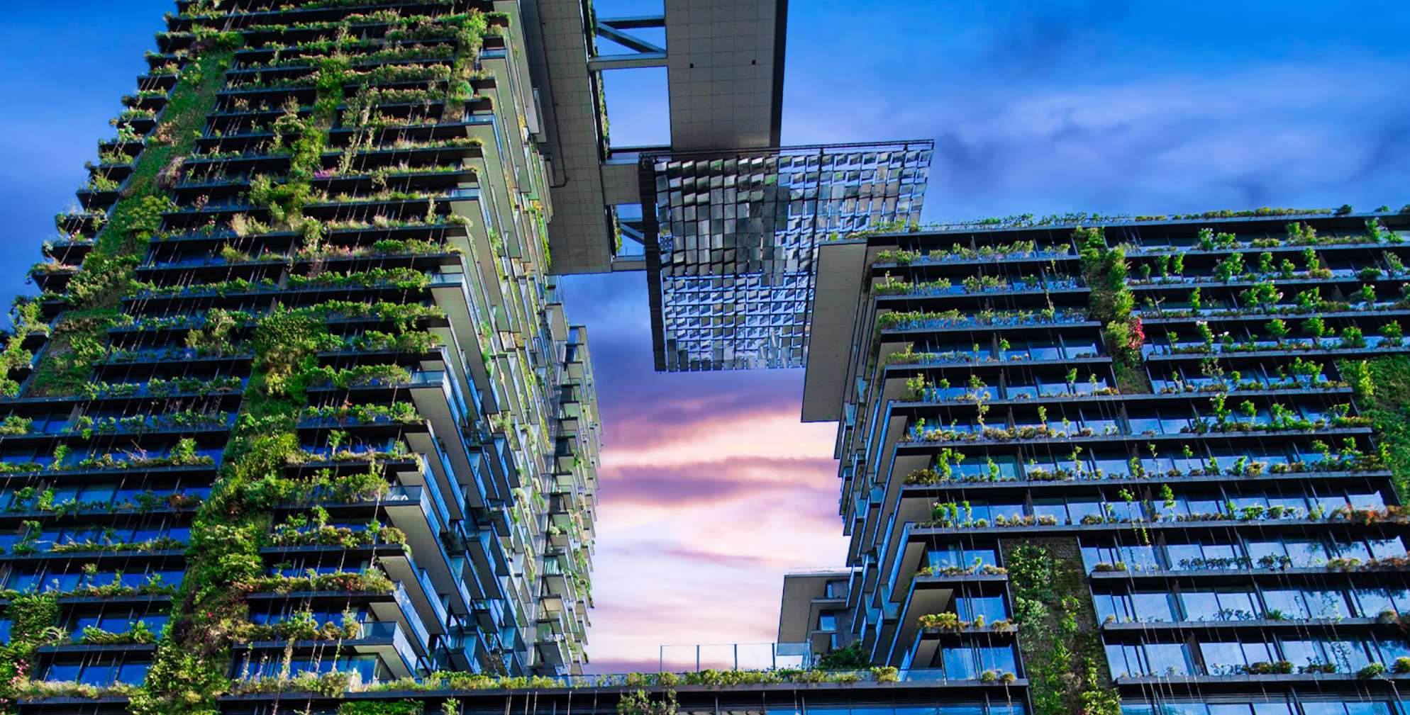 photo of properties along sydney harbour